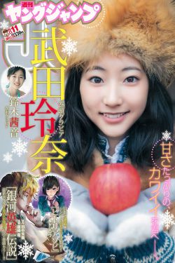 我的空姐女友第二季